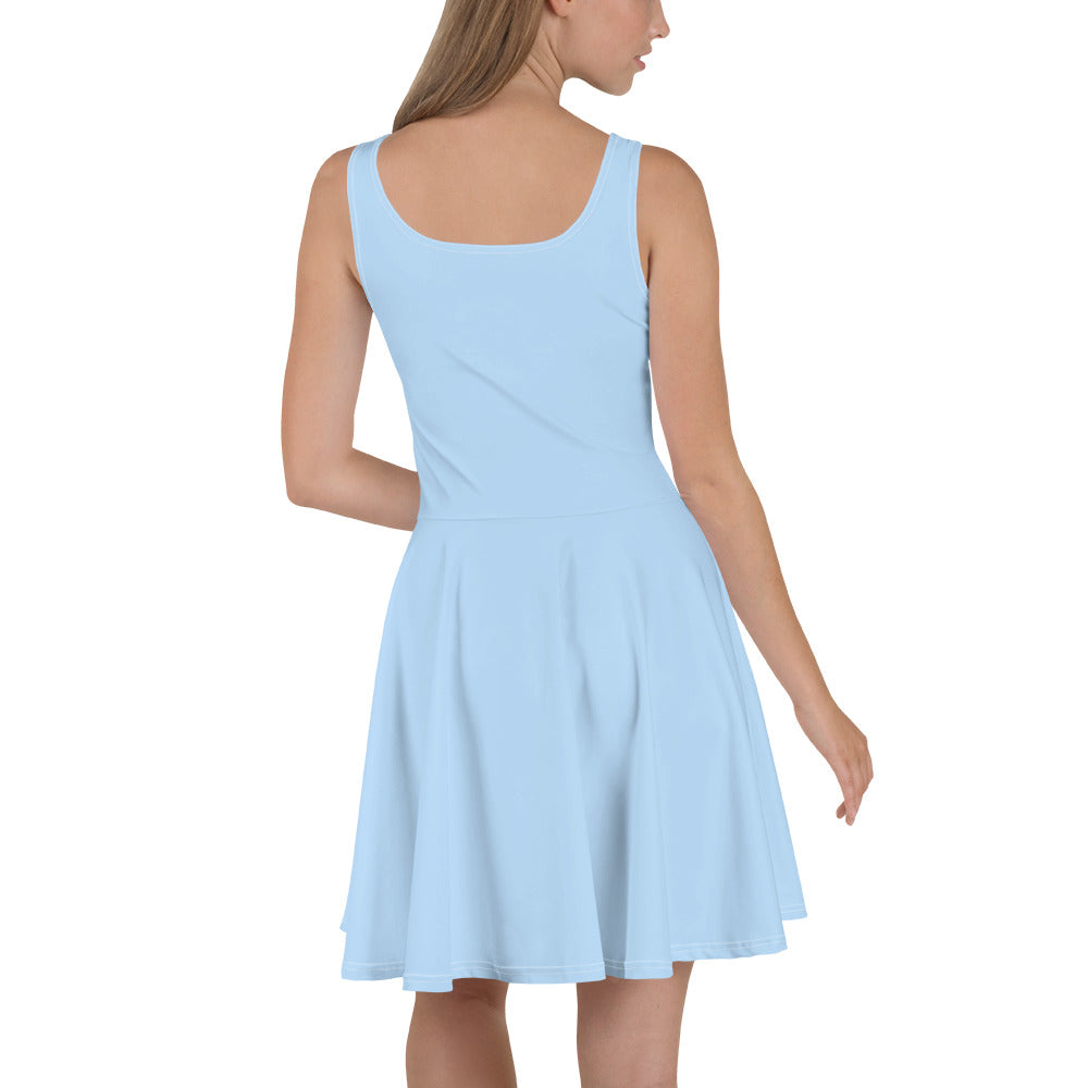 Spring Blue Skater Dress